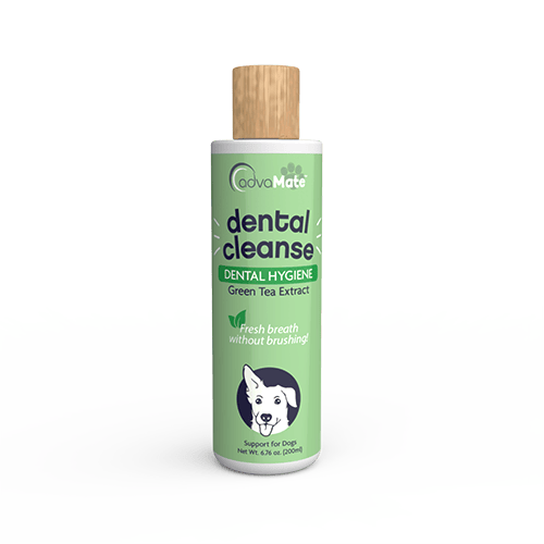 Dental Cleanse Solution (1 bouteille)