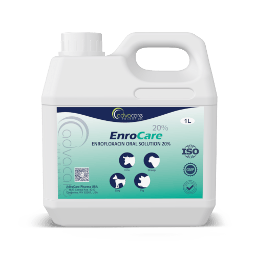 Enrofloxacine Solution Orale (1 bouteille)