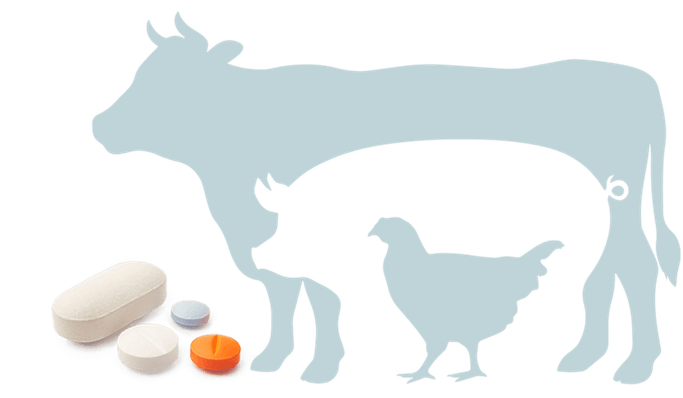 Médicaments vétérinaires antiallergiques et antihistaminiques pour chiens, chats, animaux