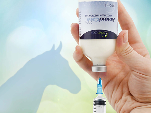 Range of veterinary injections manufactured and supplied in vials. Range of veterinary injections manufactured and supplied in vials.