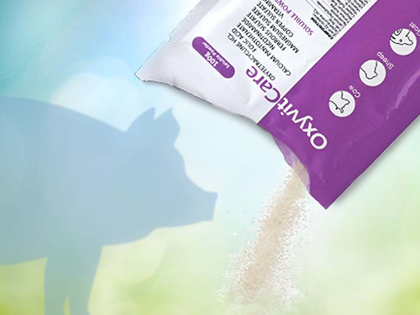 Sachets of veterinary soluble powders and premixes. Sachets of veterinary soluble powders and premixes.