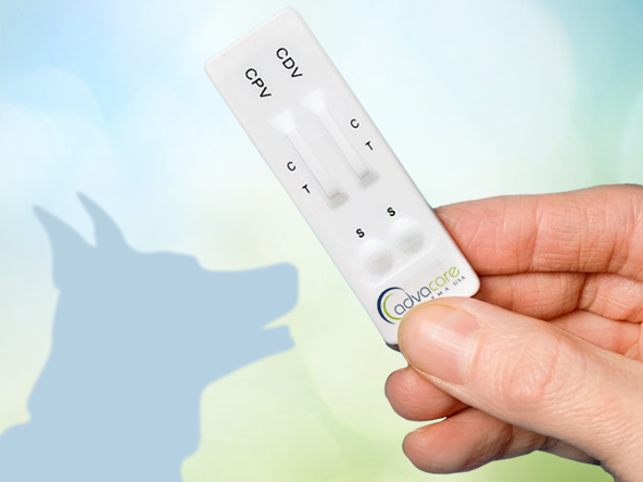 A wide range of animal medical devices and equipment for farm animals, livestock and pets. A wide range of animal medical devices and equipment for farm animals, livestock and pets.