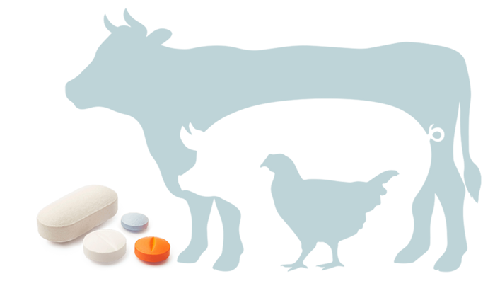 Veterinary Pharmaceuticals