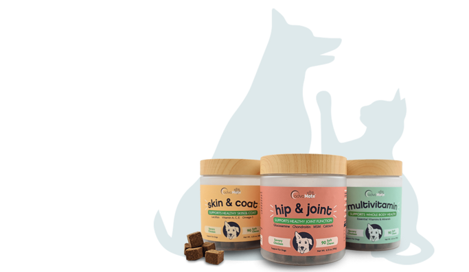 Probiotics & Gut Health Supplements for Dogs and Cats