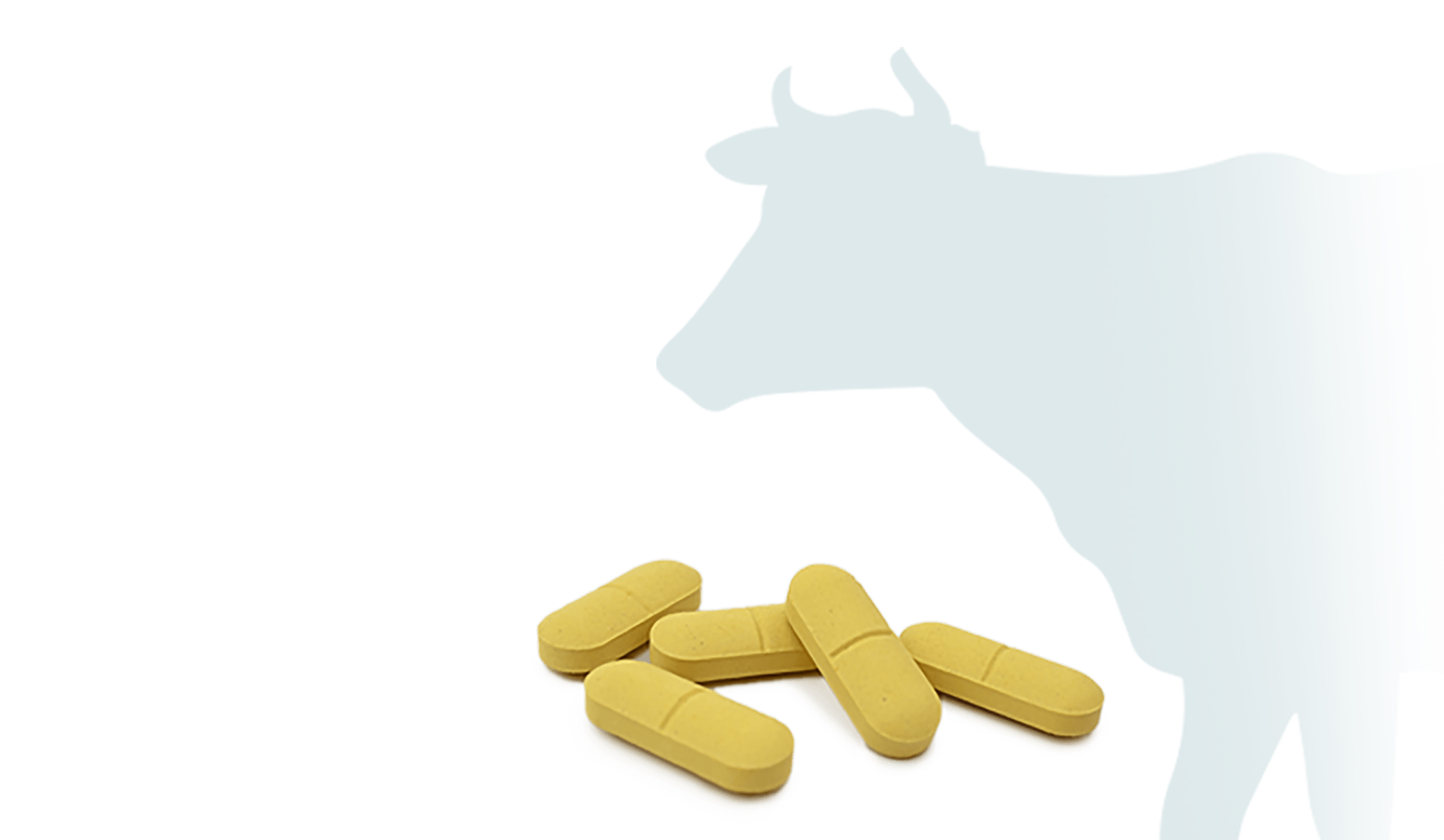 Veterinary Boluses Veterinary Boluses