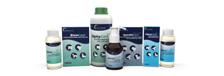 Large animal oral solutions therapies in multiple dose containers.