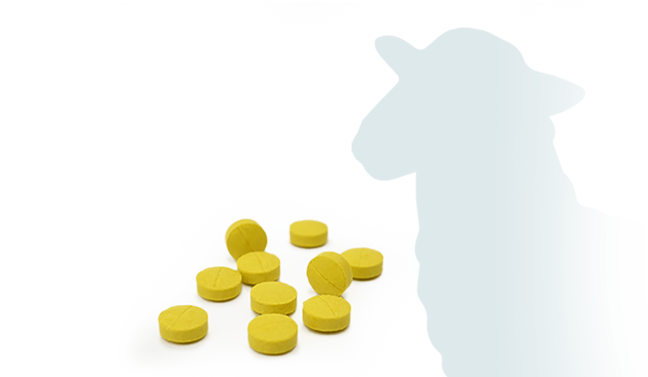 Veterinary Tablets