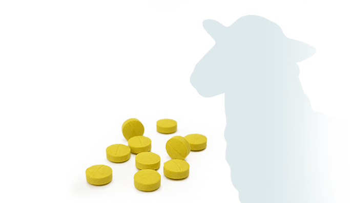 Veterinary Tablets