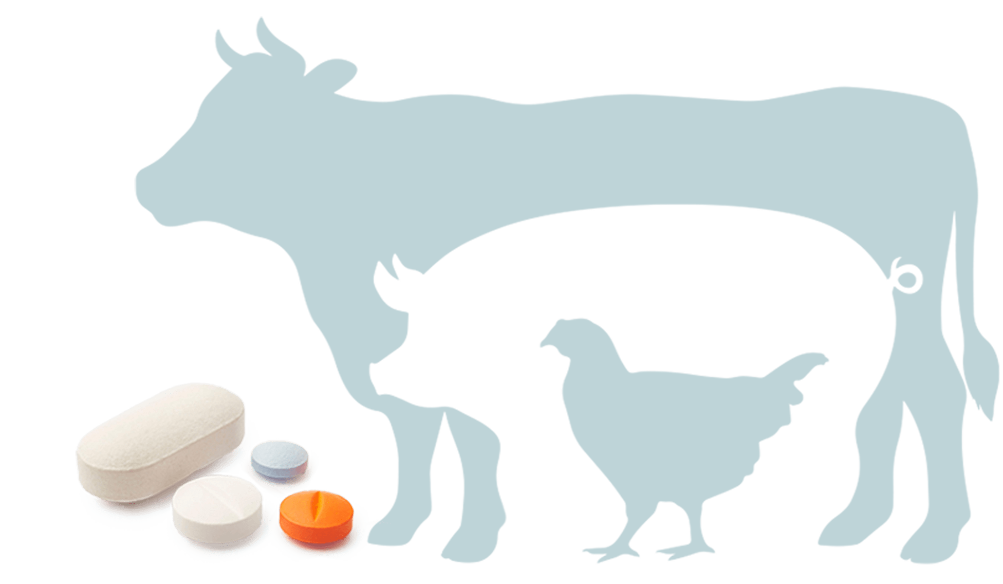 Desinfectantes y antisépticos veterinarios Desinfectantes y antisépticos veterinarios