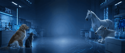 Veterinary Medicine & Animal Health