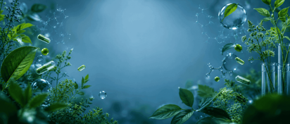 Supplements, Vitamins, Nutraceuticals & Functional Ingredients