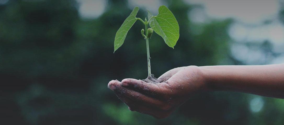 COVID-19 & Market Growth: Why & How will the Supplement Sector Grow due to Coronavirus? COVID-19 & Market Growth: Why & How will the Supplement Sector Grow due to Coronavirus?