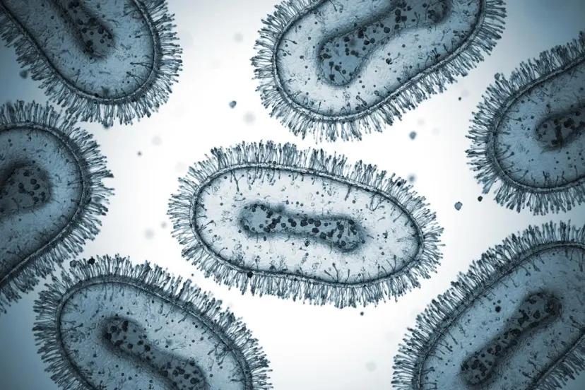 Mpox Virus Mpox Virus