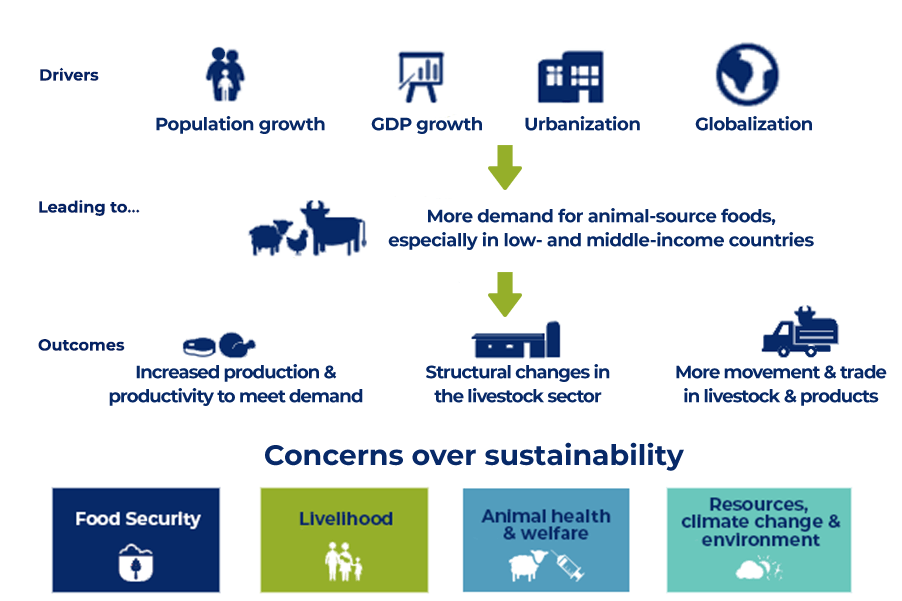 advacarepharma-drivers-outcomes-livestock-farming advacarepharma-drivers-outcomes-livestock-farming