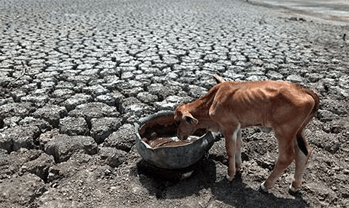 advacarepharma-environmental-challenges advacarepharma-environmental-challenges