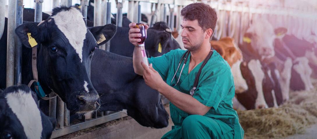 advacarepharma-future-of-livestock-farming-vet advacarepharma-future-of-livestock-farming-vet