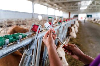 advacarepharma-livestock-vaccine advacarepharma-livestock-vaccine