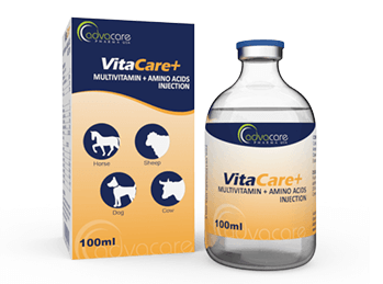 advacarepharma-multivitamin-amino-acids-injeciton-box-vial advacarepharma-multivitamin-amino-acids-injeciton-box-vial
