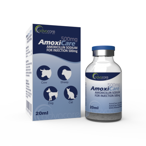 Amoxicilina Sódica para Inyección (1 caja y 1 frasco)