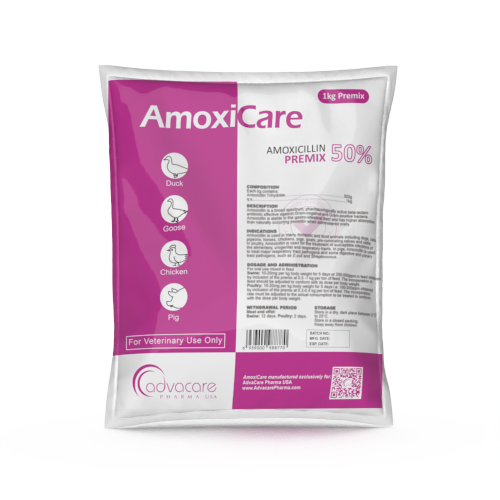 Amoxicillin Premix (1 bag) Amoxicillin Premix (1 bag)