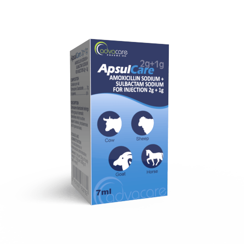 Amoxicilline Sodique + Sulbactam Sodique pour Injection (boîte de 1 flacon)