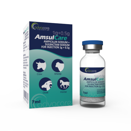 Ampicillin Sodium + Sulbactam Sodium for Injection (1 box and 1 vial)