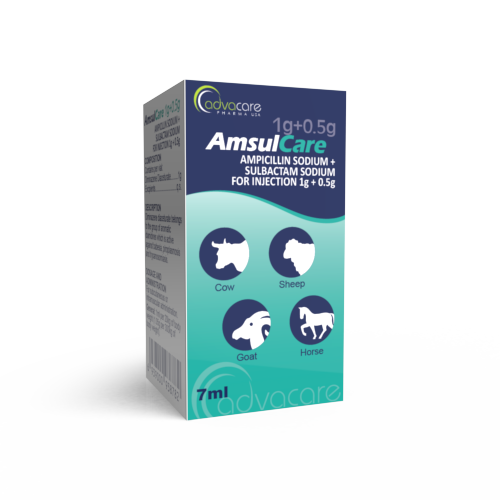 Ampicillin Sodium + Sulbactam Sodium for Injection (box of 1 vial)