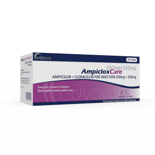 Ampicilline + Cloxacilline pour Injection (boîte de 10 flacons)