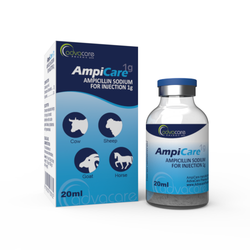 Ampicilline Sodique pour Injection (1 boîte et 1 flacon)