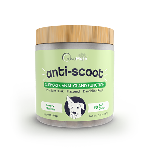 Anti-Scoot Compléments à Mâcher Doux (1 bouteille) Anti-Scoot Compléments à Mâcher Doux (1 bouteille)