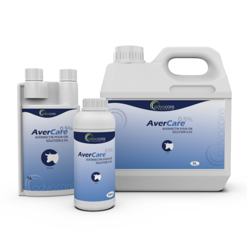 Solución Pour-On de Avermectina (500ml botella) Solución Pour-On de Avermectina (500ml botella)