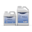 Benzalkonium Chloride (BAC) Disinfectant (1L bottle and 1 gallon bottle)