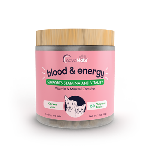 Blood & Energy Chewable Tablets (1 bottle) Blood & Energy Chewable Tablets (1 bottle)