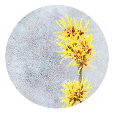 Lingettes corporelles UltraGuard (Croix non tissée avec hamamélis)