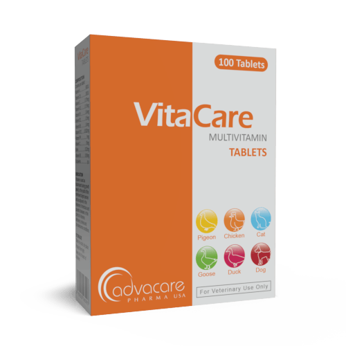 Comprimés Multivitamines (boîte de 100 comprimés)