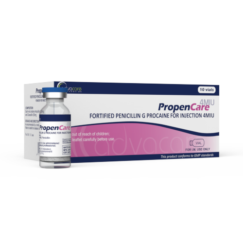 Pénicilline G Procaïne Renforcée pour Injection (1 boîte et 1 flacon) Pénicilline G Procaïne Renforcée pour Injection (1 boîte et 1 flacon)