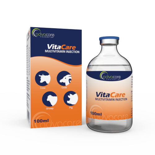 Injection de Multivitamines (1 boîte et 1 flacon) Injection de Multivitamines (1 boîte et 1 flacon)