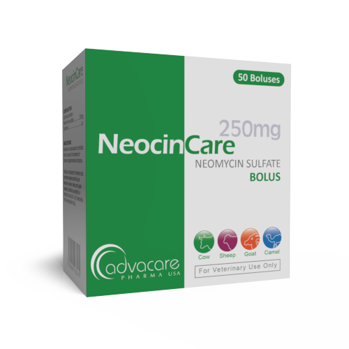 Bolus de Sulfate de Néomycine (boîte de 50 bolus)