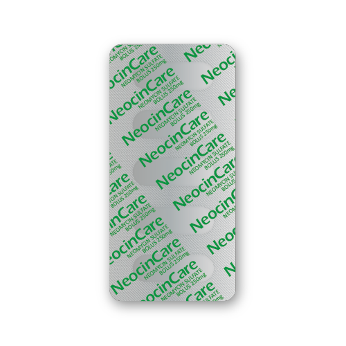 Bolus de Sulfate de Néomycine (ampoule de 5 bolus) Bolus de Sulfate de Néomycine (ampoule de 5 bolus)