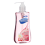 Gel Antibacteriano (1 botella) Gel Antibacteriano (1 botella)