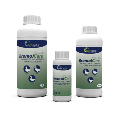 Bromhexine HCl + Menthol Oral Solution (100ml bottle, 500ml bottle and 1L bottle) Bromhexine HCl + Menthol Oral Solution (100ml bottle, 500ml bottle and 1L bottle)