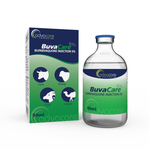 Buparvaquone Injection (1 box and 1 vial)