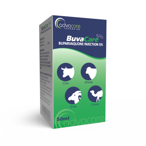 Buparvaquone Injection (box of 1 vial) Buparvaquone Injection (box of 1 vial)