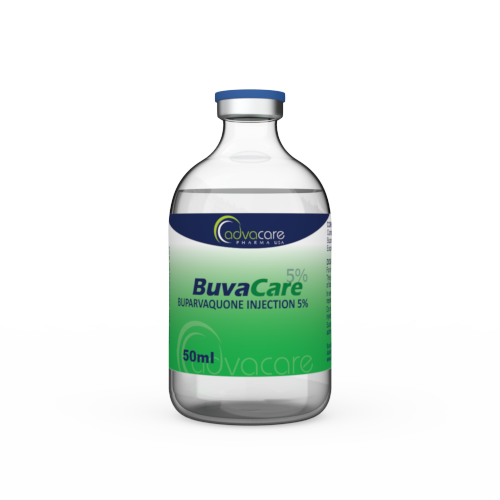 Buparvaquone Injection (1 vial)