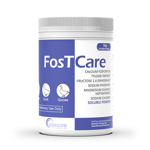 Poudre Soluble de Calcium Fosfomycine + Tylosine Tartrate (1 bouteille) Poudre Soluble de Calcium Fosfomycine + Tylosine Tartrate (1 bouteille)