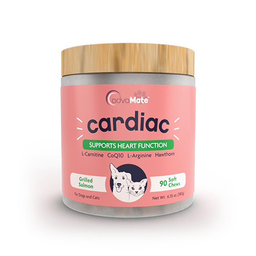 l carnitine for dogs heart Five Leaf Botanicals Heart+ Supplement for Dogs +