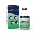 Cefotaxime for Injection (1 box and 1 vial)