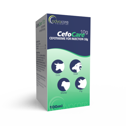 Cefotaxime for Injection (box of 1 vial)