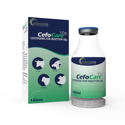 Cefotaxime pour Injection (1 boîte et 1 flacon)