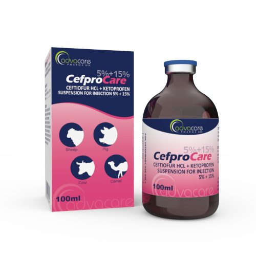 Ceftiofur HCl + Ketoprofen Suspension (1 box and 1 vial) Ceftiofur HCl + Ketoprofen Suspension (1 box and 1 vial)